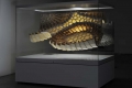 HygroScope_03_DSC7760